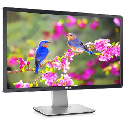 Dell P2314HT, 23